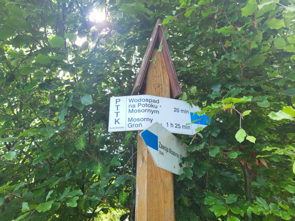 Mosorny Groń z psem – zdjęcie 1