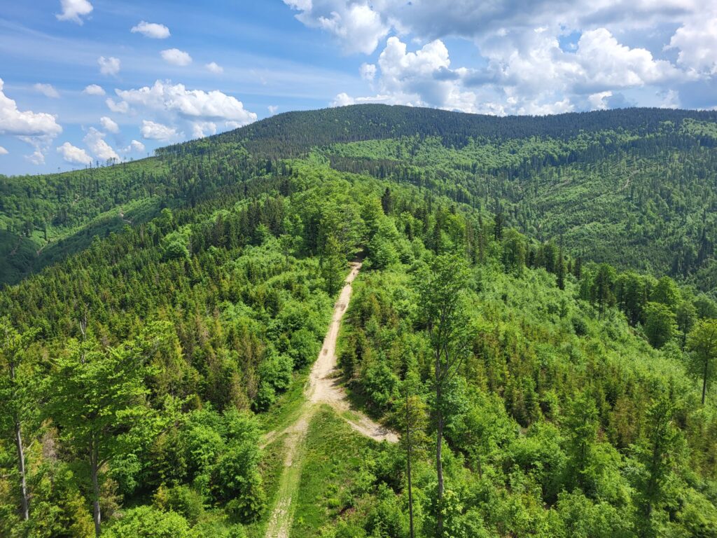 Mosorny Groń z psem – zdjęcie 11