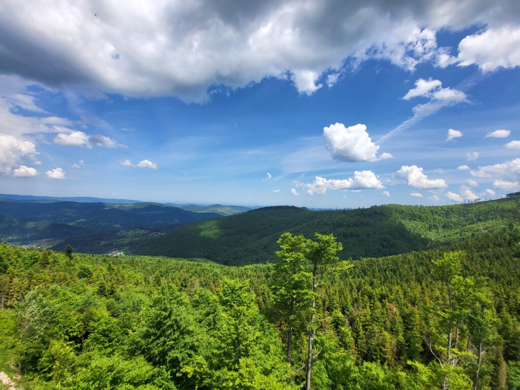 Mosorny Groń z psem – zdjęcie 12