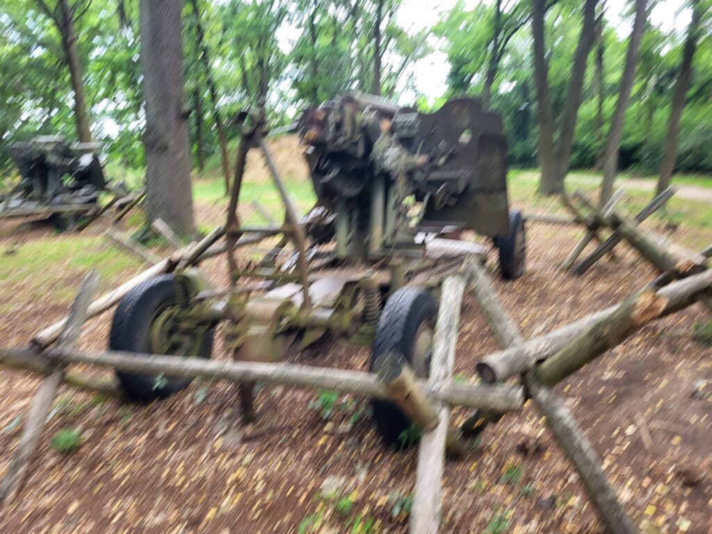 Park Leśny w Lubinie z psem – zdjęcie 15