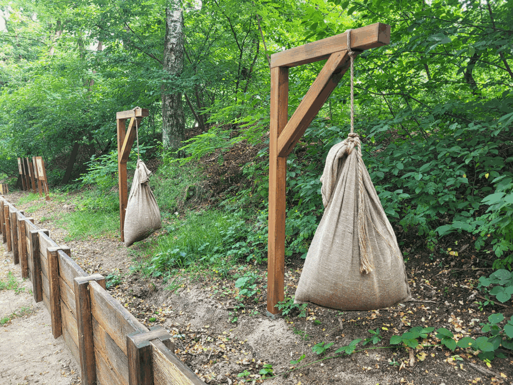 Park Leśny w Lubinie z psem – zdjęcie 4