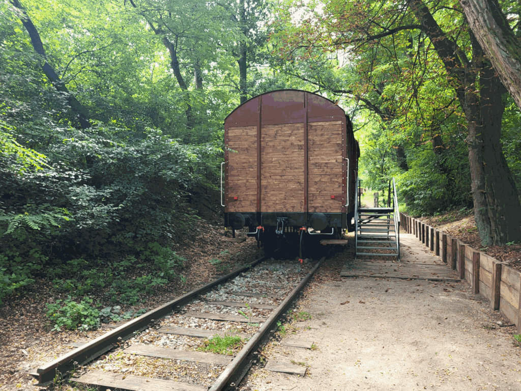Park Leśny w Lubinie z psem – zdjęcie 5