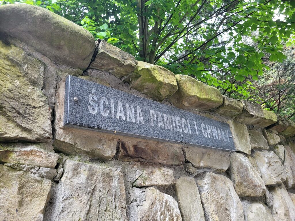 Zawoja z psem – zdjęcie 20