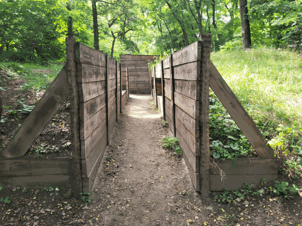 Park Leśny w Lubinie z psem – zdjęcie 6
