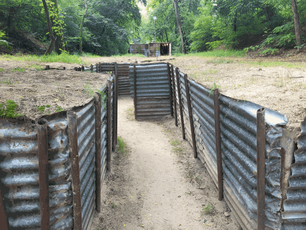 Park Leśny w Lubinie z psem – zdjęcie 1