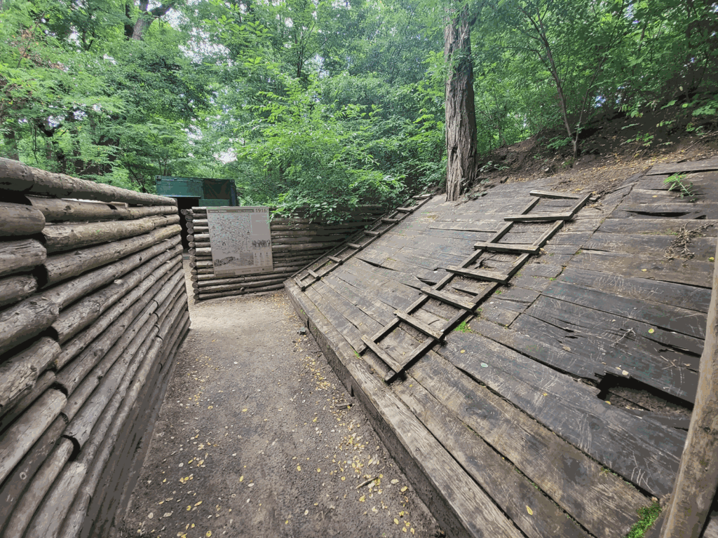 Park Leśny w Lubinie z psem – zdjęcie 2