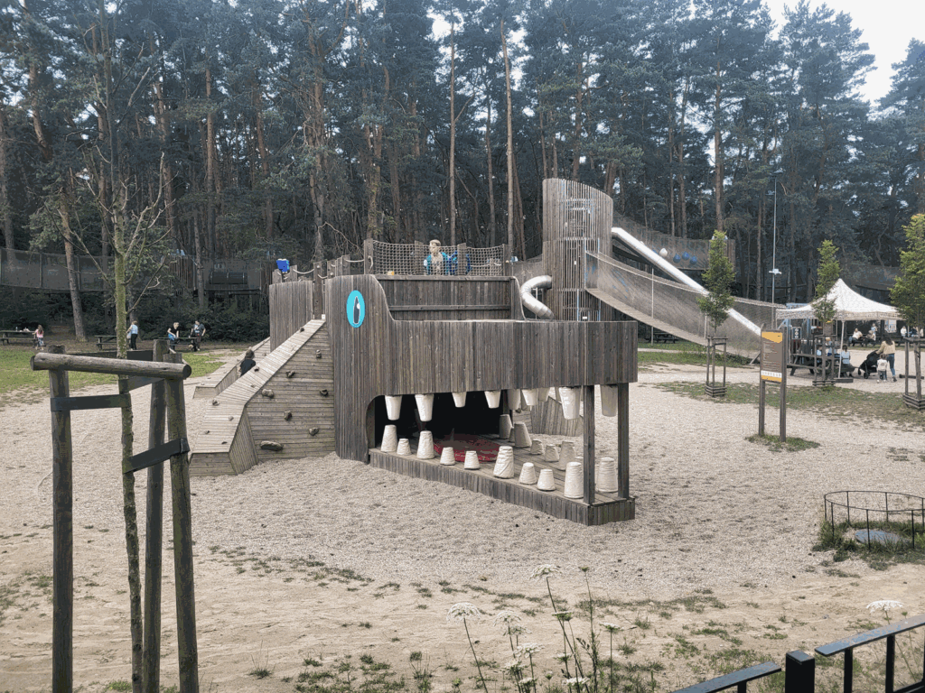 Park Leśny w Lubinie z psem – zdjęcie 38
