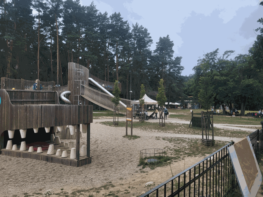 Park Leśny w Lubinie z psem – zdjęcie 37