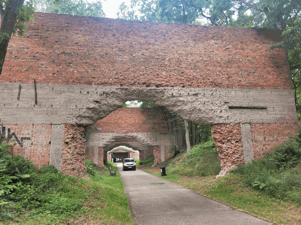 Park Leśny w Lubinie z psem – zdjęcie 34