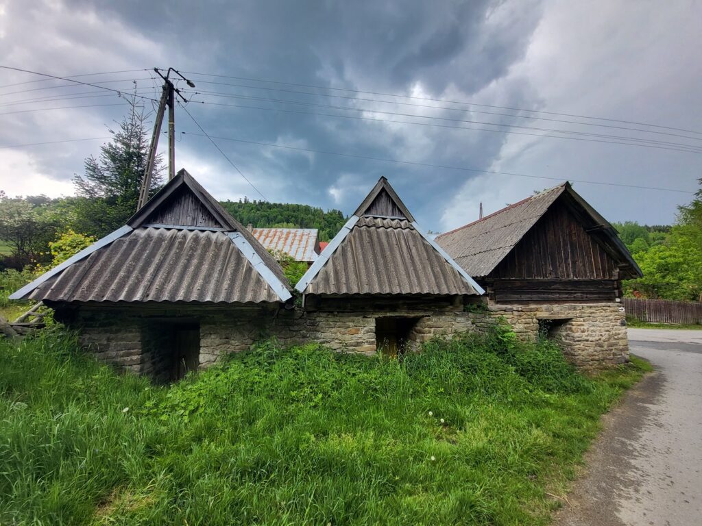 Zawoja z psem – zdjęcie 12