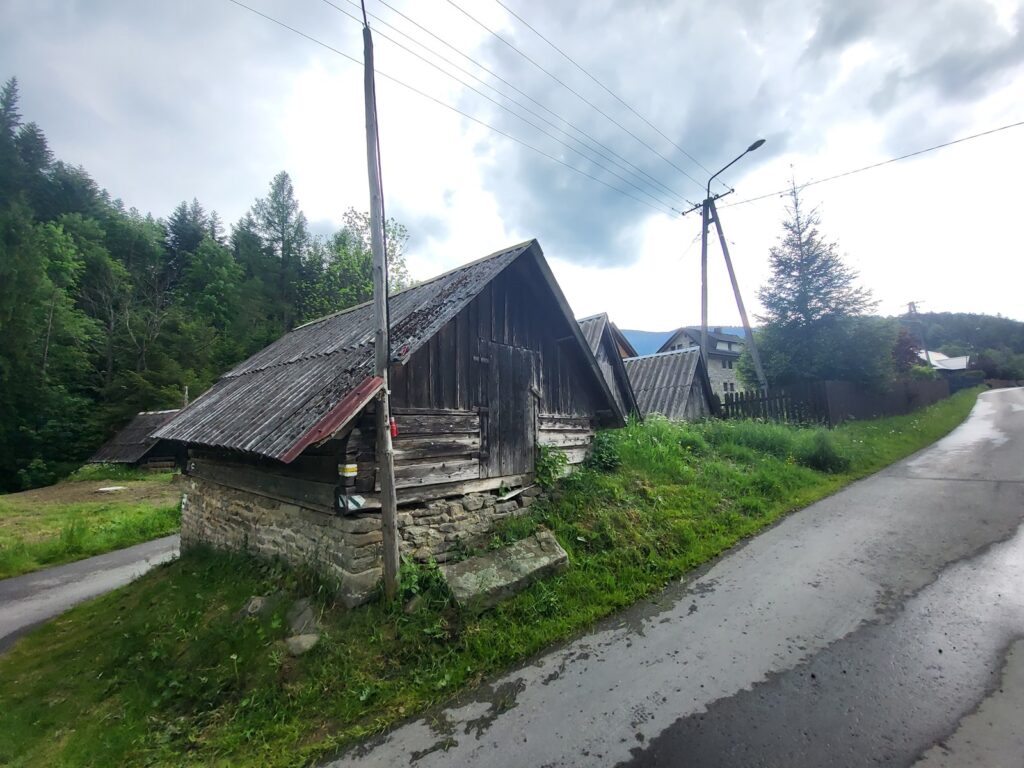 Zawoja z psem – zdjęcie 11