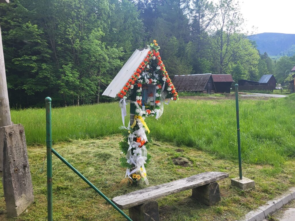 Zawoja z psem – zdjęcie 16