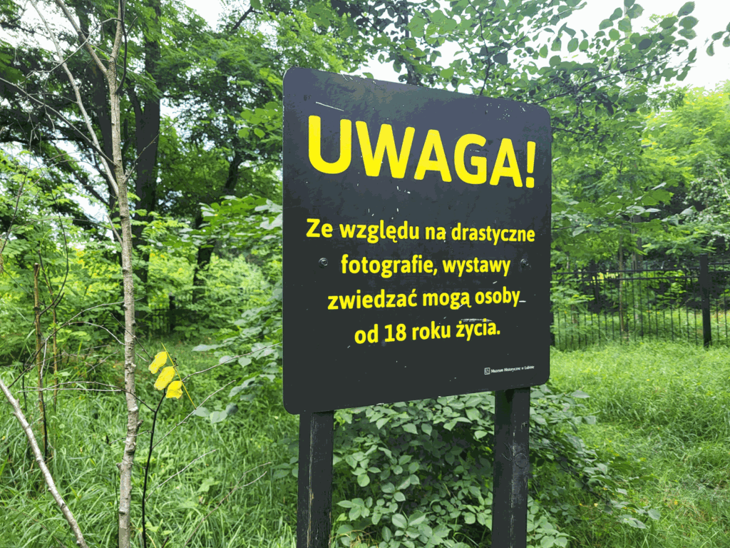 Park Leśny w Lubinie z psem – zdjęcie 18