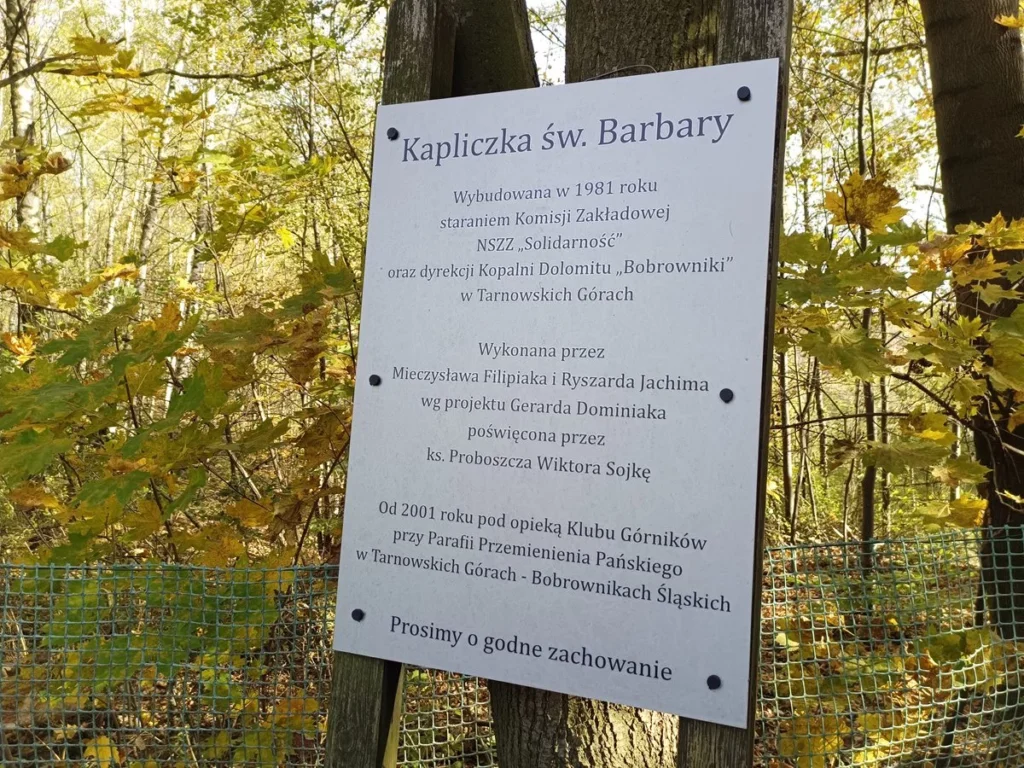 Wielki Kanion Tarnogórski z psem – zdjęcie 15