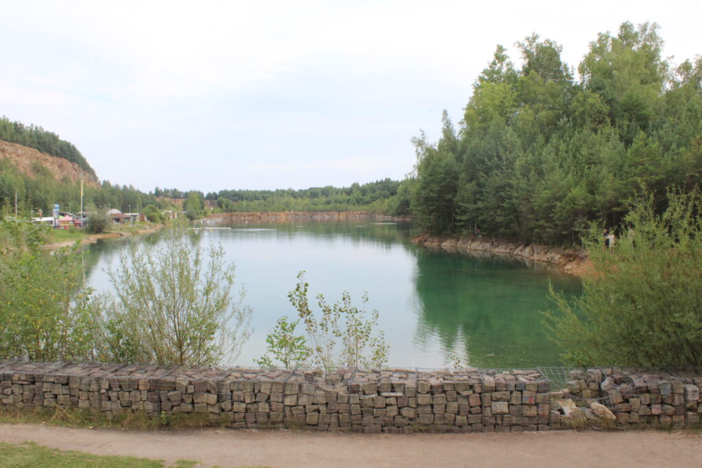 Park Gródek w Jaworznie z psem – zdjęcie 17
