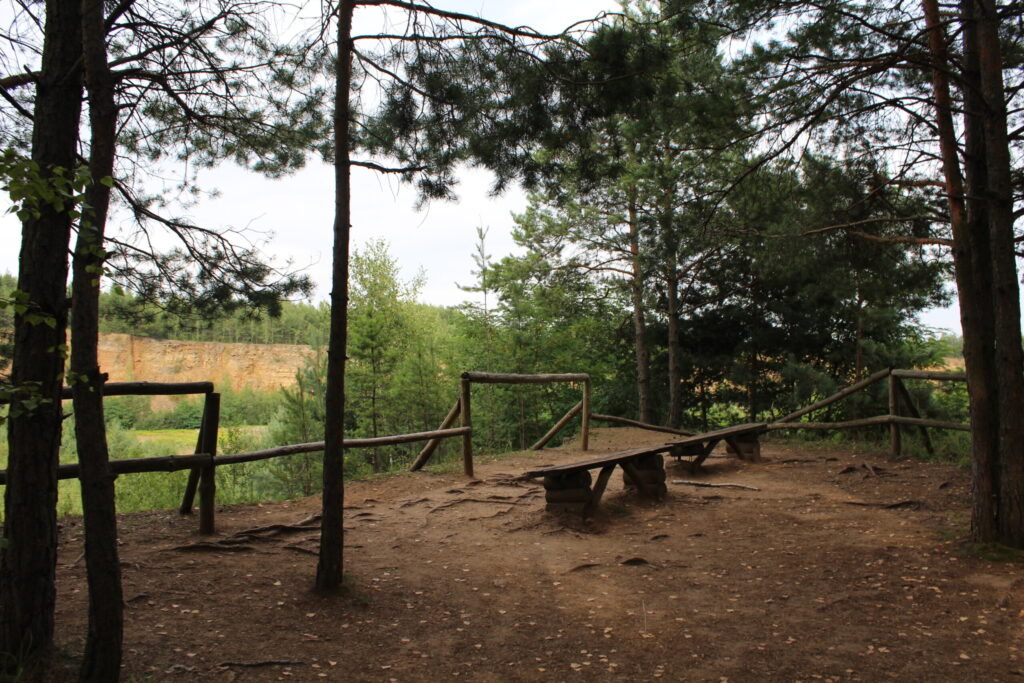 Park Gródek w Jaworznie z psem – zdjęcie 2