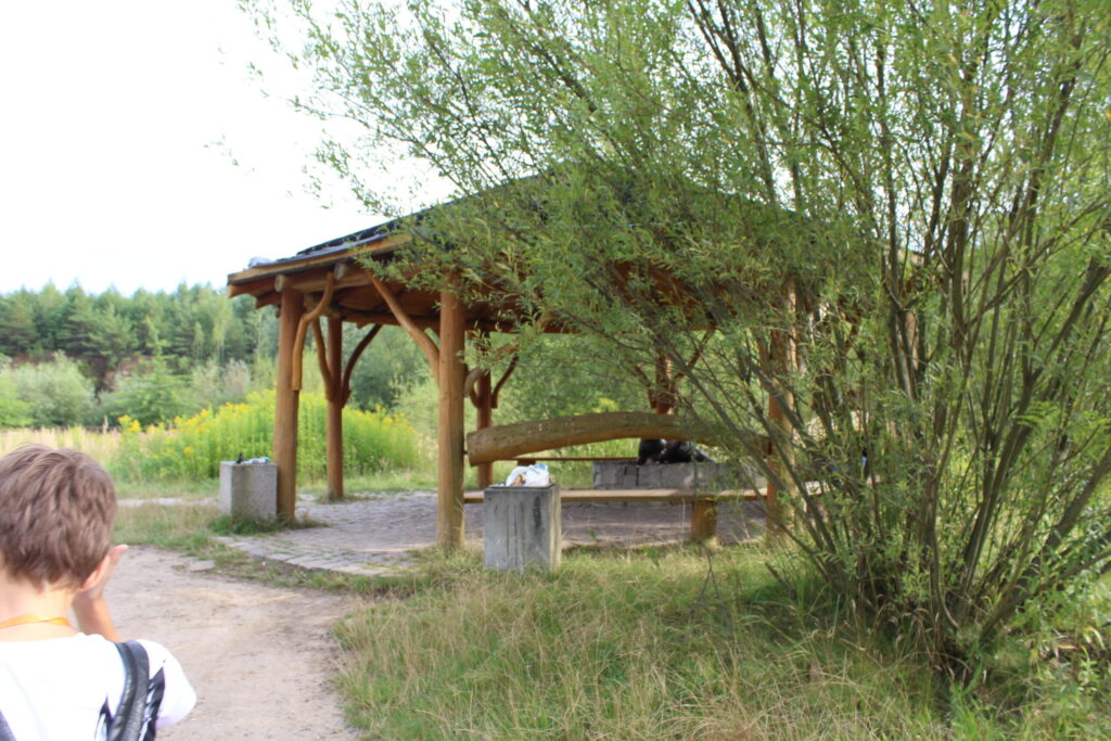 Park Gródek w Jaworznie z psem – zdjęcie 3