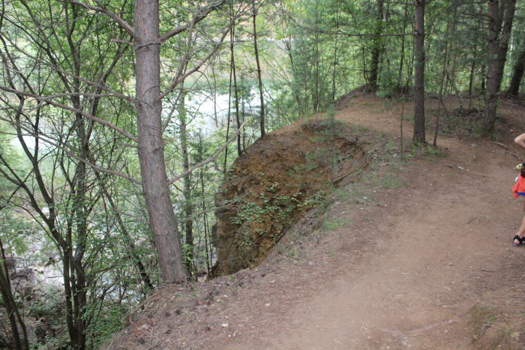Park Gródek w Jaworznie z psem – zdjęcie 7