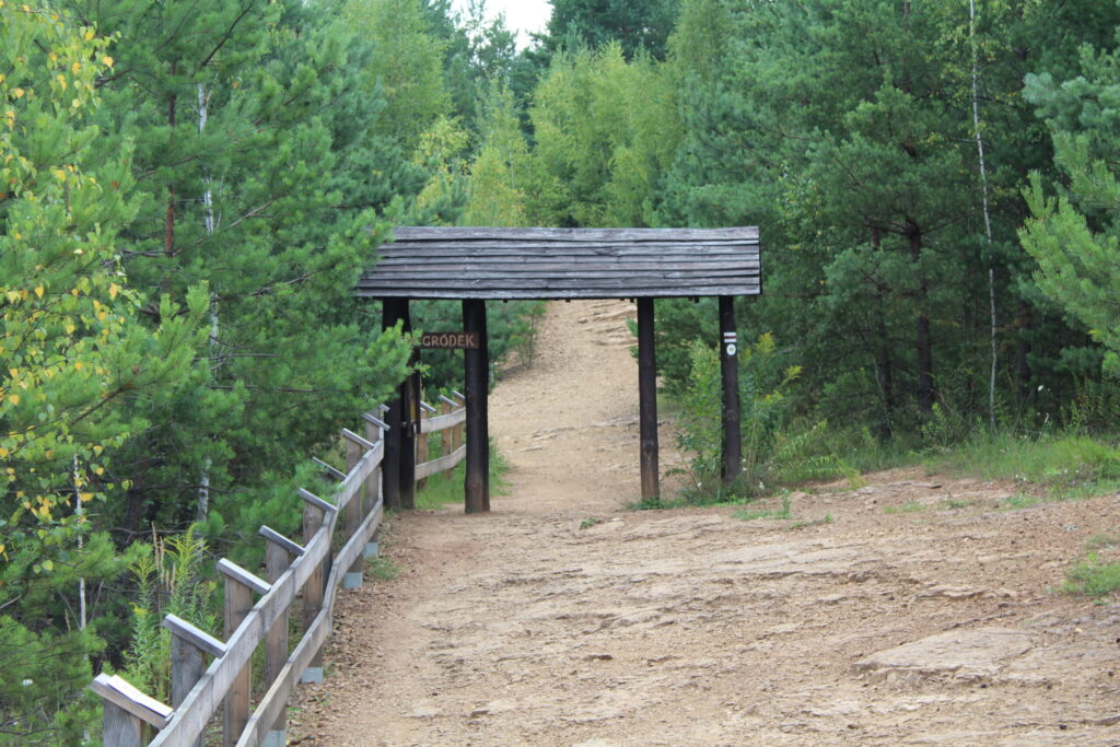 Park Gródek w Jaworznie z psem – zdjęcie 9