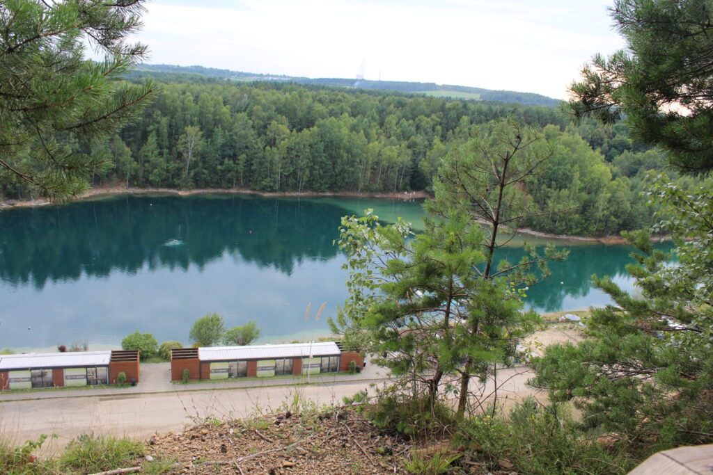 Park Gródek w Jaworznie z psem – zdjęcie 19