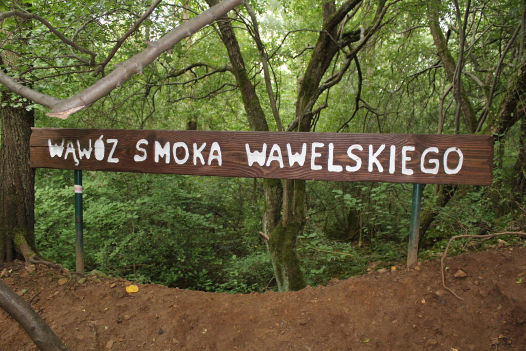Park Gródek w Jaworznie z psem – zdjęcie 10