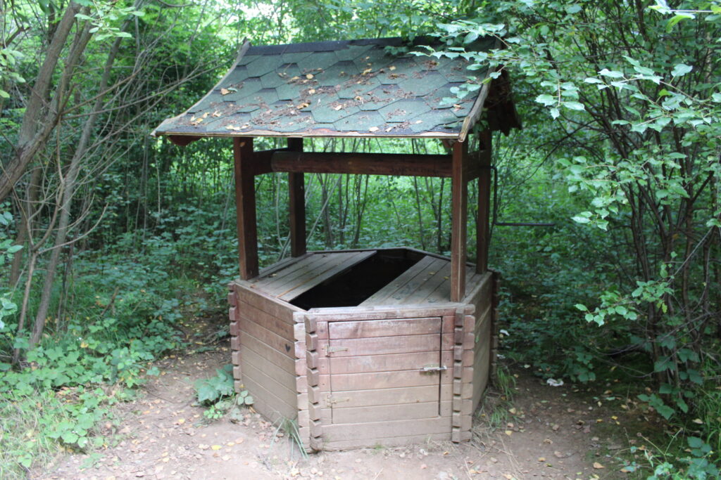 Park Gródek w Jaworznie z psem – zdjęcie 11
