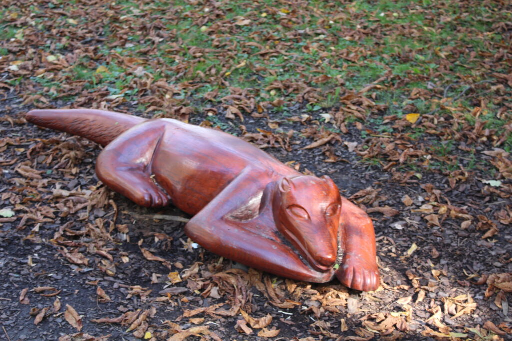 Hobby Park i Petr Bezruc Garden w Bohuminie z psem – zdjęcie 5
