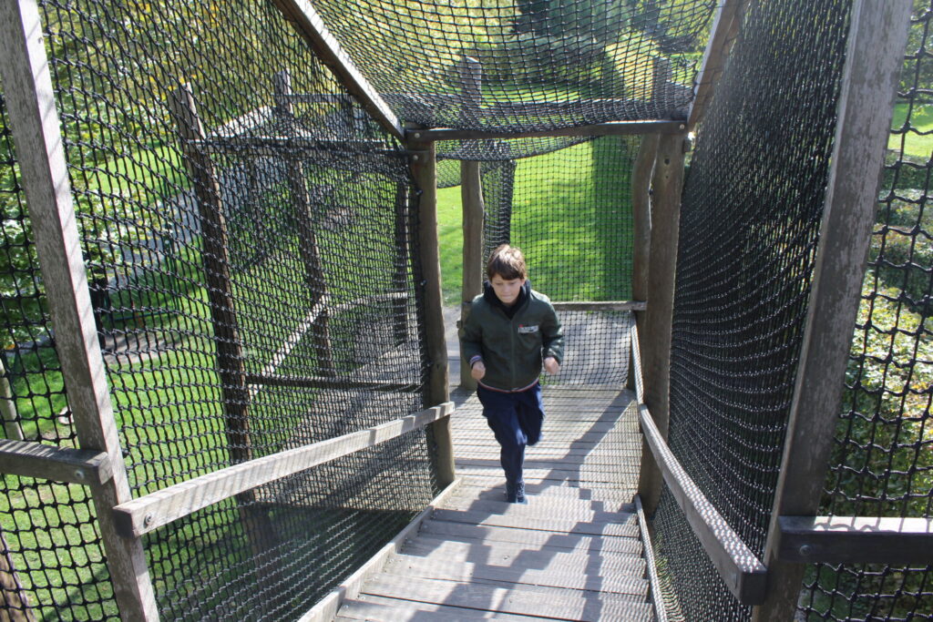 Hobby Park i Petr Bezruc Garden w Bohuminie z psem – zdjęcie 12