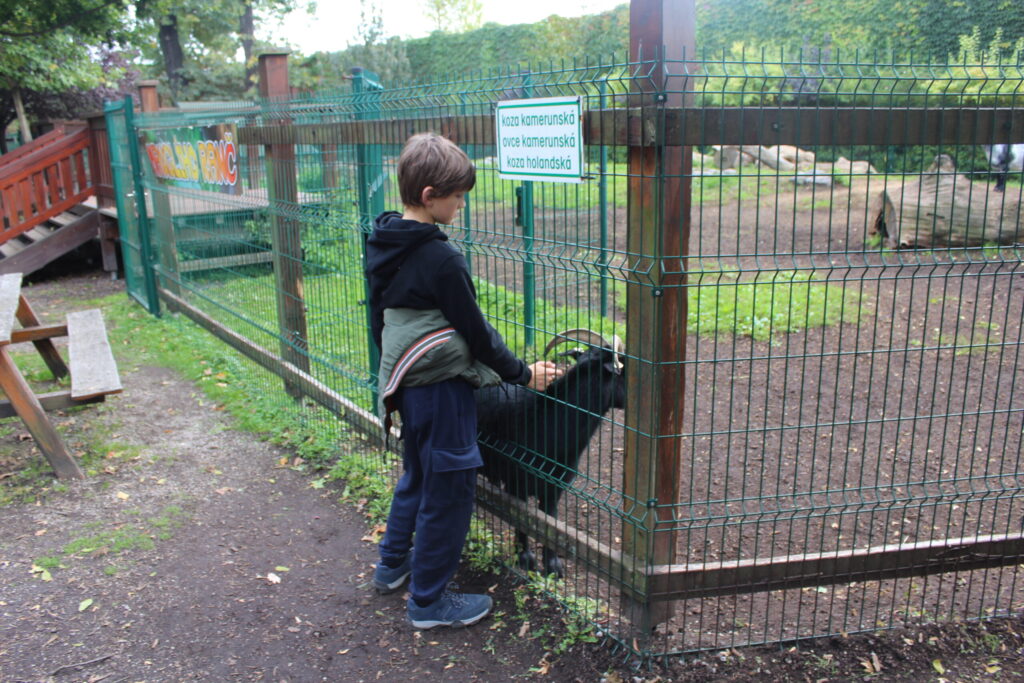 Hobby Park i Petr Bezruc Garden w Bohuminie z psem – zdjęcie 25