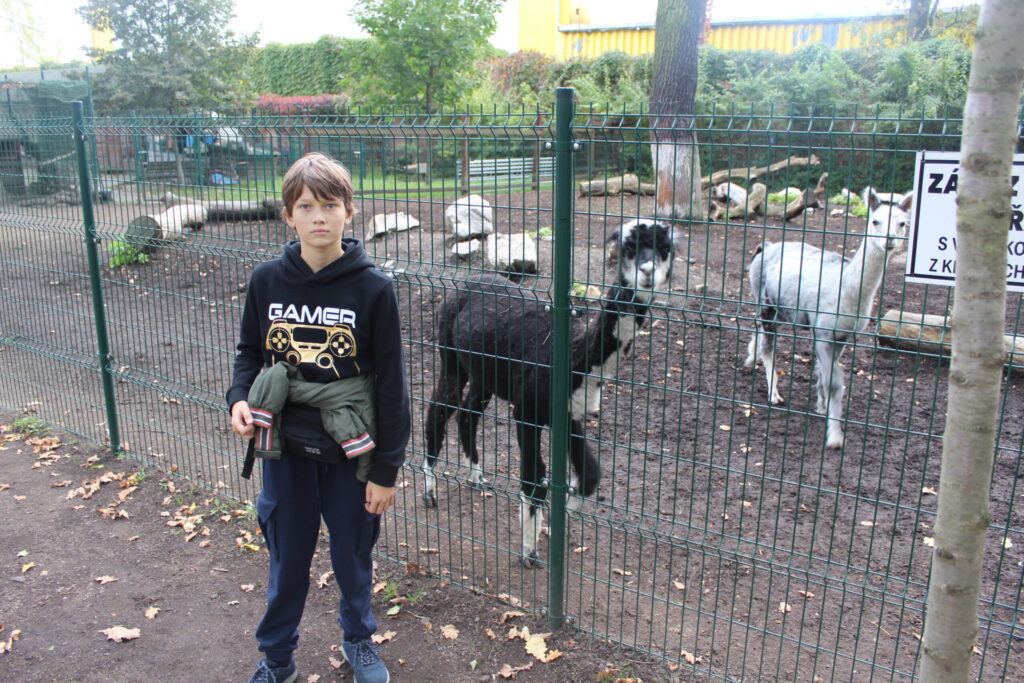 Hobby Park i Petr Bezruc Garden w Bohuminie z psem – zdjęcie 27