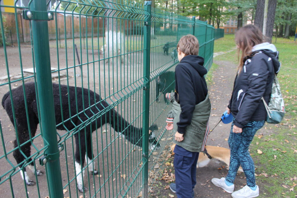 Hobby Park i Petr Bezruc Garden w Bohuminie z psem – zdjęcie 32