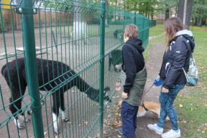 Hobby Park i Petr Bezruc Garden w Bohuminie z psem – zdjęcie 32