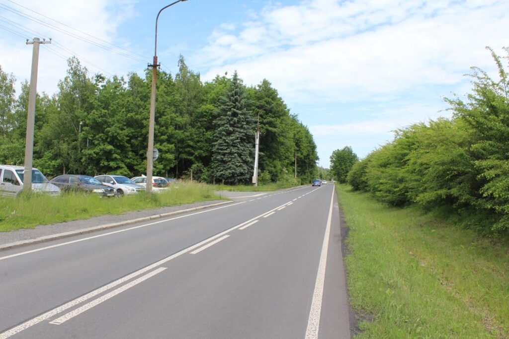 Karwińskie Morze z psem – zdjęcie 1