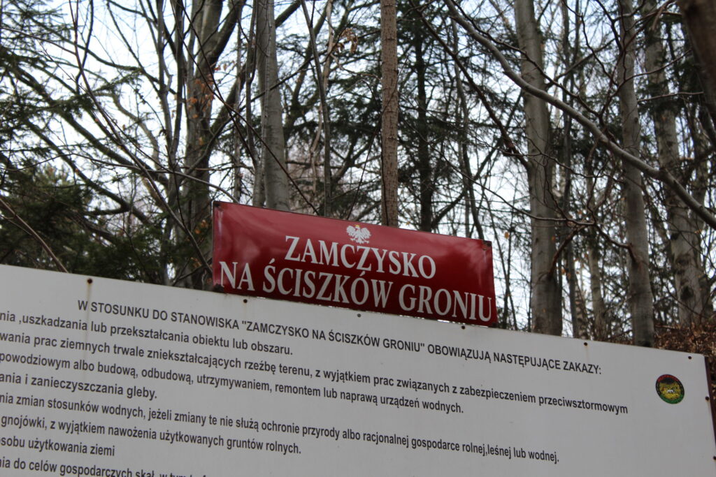 Zamczysko na Łysinie z psem – zdjęcie 19
