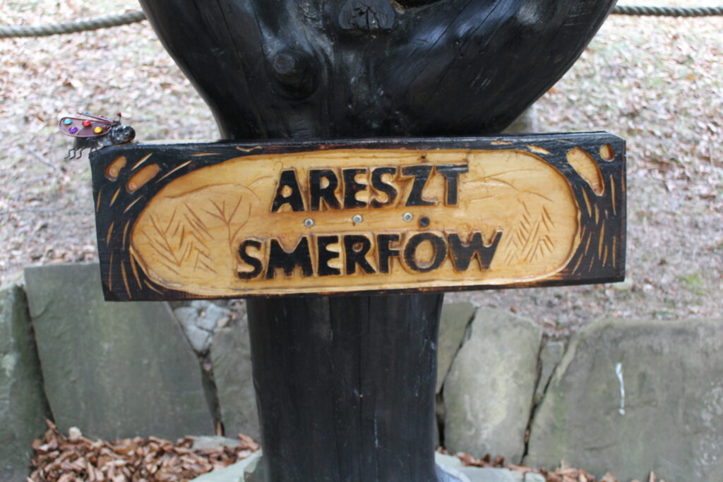 Zamczysko na Łysinie z psem – zdjęcie 43