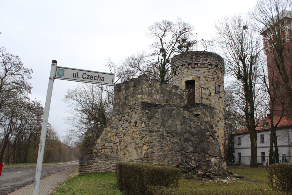 Krapkowice z psem – zdjęcie 1
