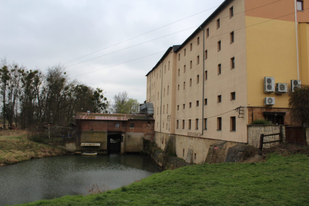 Krapkowice z psem – zdjęcie 31