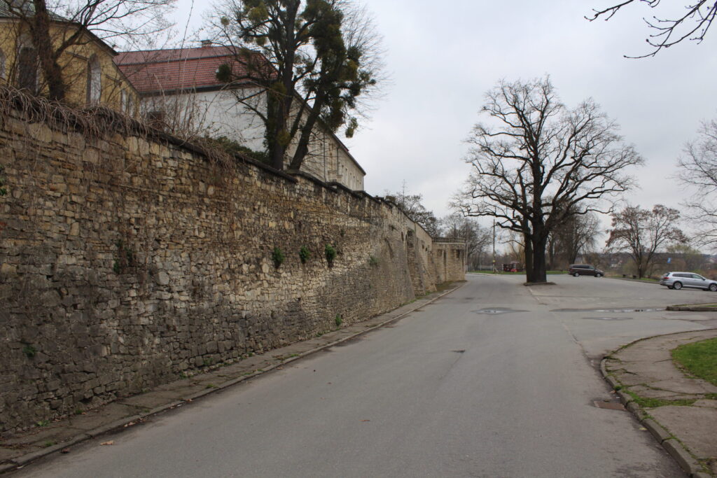 Krapkowice z psem – zdjęcie 12