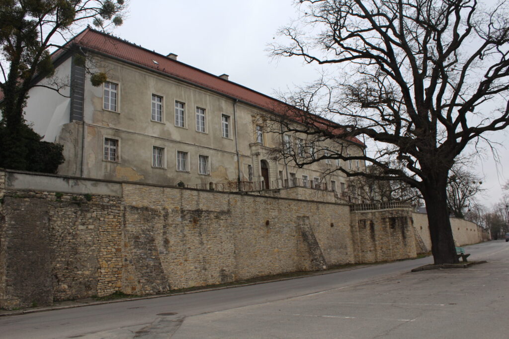 Krapkowice z psem – zdjęcie 11