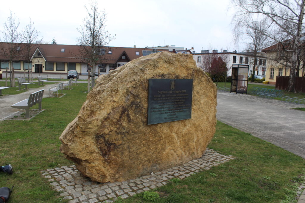 Krapkowice z psem – zdjęcie 59