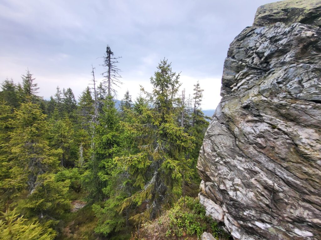 Příčný vrch z psem – zdjęcie 61
