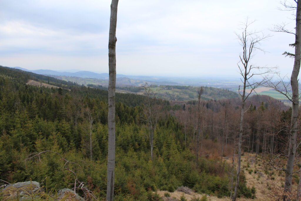 Příčný vrch z psem – zdjęcie 37