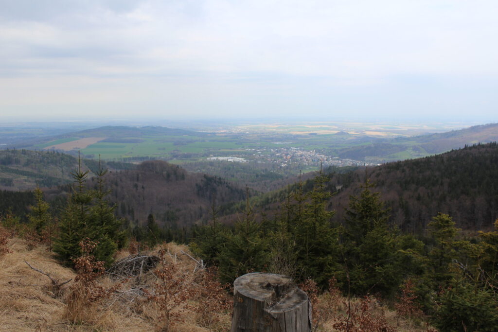 Příčný vrch z psem – zdjęcie 24