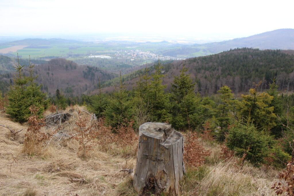 Příčný vrch z psem – zdjęcie 23