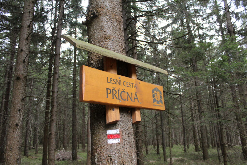 Příčný vrch z psem – zdjęcie 44