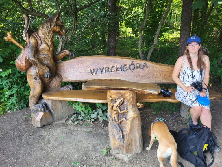 Wyrchgóra z psem – punkt widokowy nad Goleszowem
