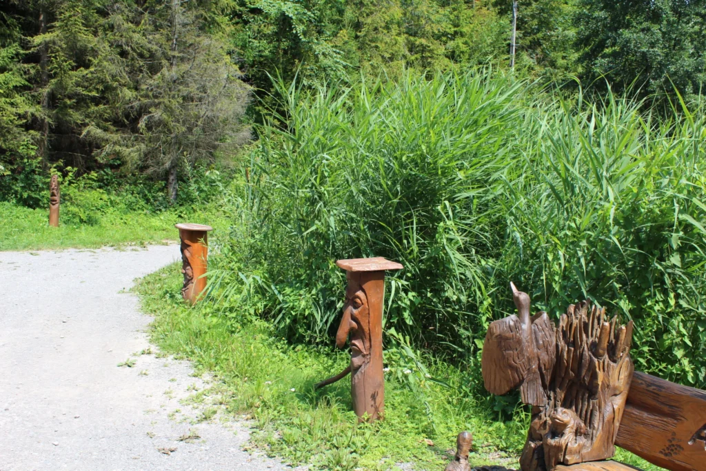 Wyrchgóra z psem – pies nad Zbiornikiem Ton w Goleszowie