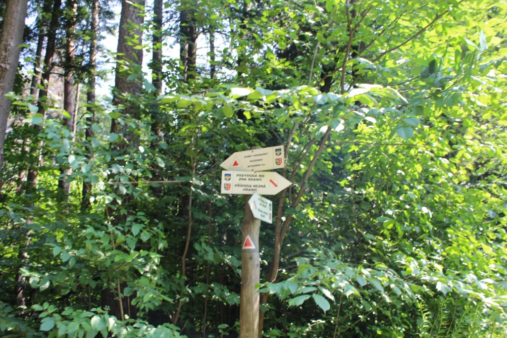 Wyrchgóra z psem – szczyt Jasieniowa (Goleszowska Góra) 521 m